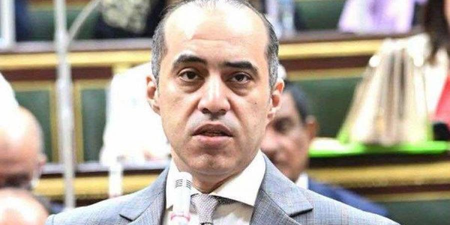 محمود فوزي للنواب: الحكومة تلتزم بشكل كامل بالنسب الدستورية المقررة بالموازنة العامة للدولة - هرم مصر