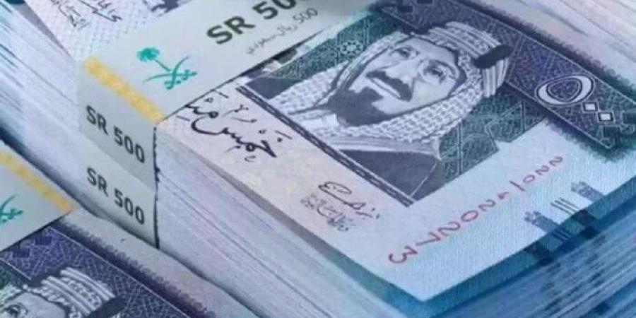 سعر الريال السعودي اليوم في بنك مصر.. كم سجل مقابل الجنيه؟ - هرم مصر