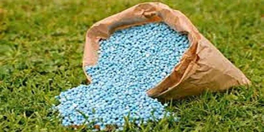 وزارة الزراعة: الأسمدة متوفرة بالجمعيات الزراعية واستمرار الصرف وفقًا لمنظومة كارت الفلاح - هرم مصر