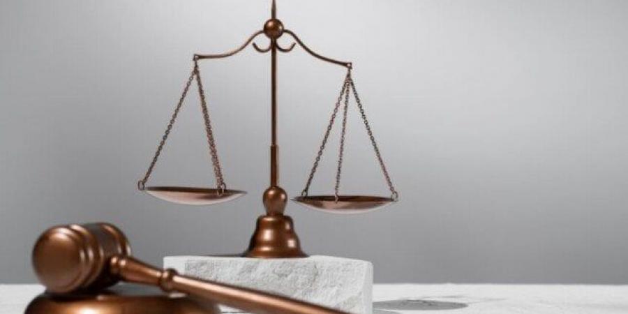 المشدد 6 سنوات لربة منزل ومالك مصنع رخام لاتهامهما بإحداث عاهة مستديمة لطفل - هرم مصر