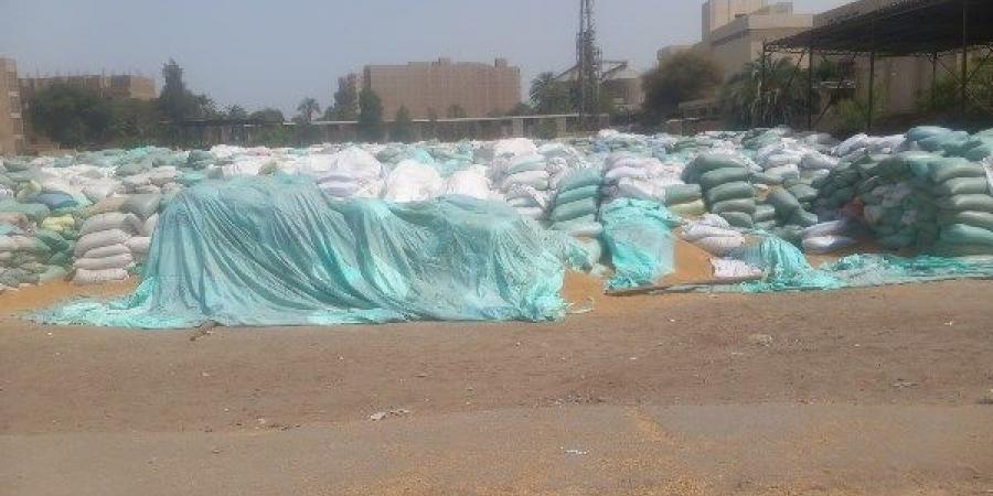 محافظ أسيوط: ترشيد الطاقة والإسراع في حل طفح الصرف الصحي بـ المصلة - هرم مصر
