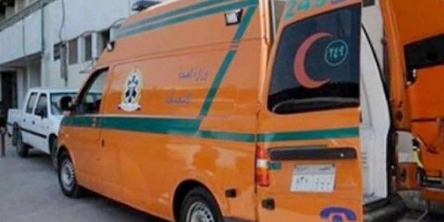 التصريح بدفن سيدة دهستها سيارة ميكروباص في الهرم - هرم مصر