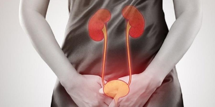المضاد الخطأ والتشخيص المضلل أبرز أسباب فشل علاج التهاب المثانة - هرم مصر