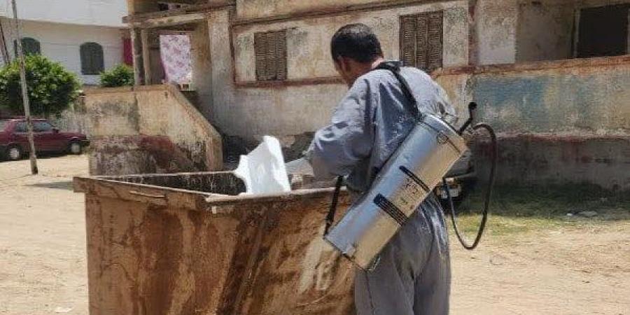 مكافحة نواقل الأمراض في مدينة رأس البر لحماية الصحة العامة - هرم مصر