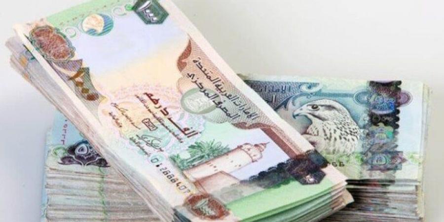 سعر الدرهم الإماراتي مقابل الجنيه المصري اليوم الجمعة 20-6-2025 - هرم مصر