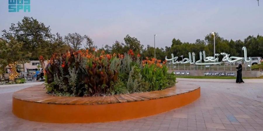 صيف الباحة.. فعاليات متنوعة وتجربة ترفيهية متكاملة للزوار - هرم مصر