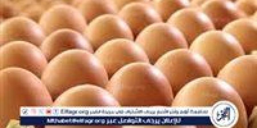 أسعار طبق البيض اليوم السبت 21-6-2025 في قنا - هرم مصر