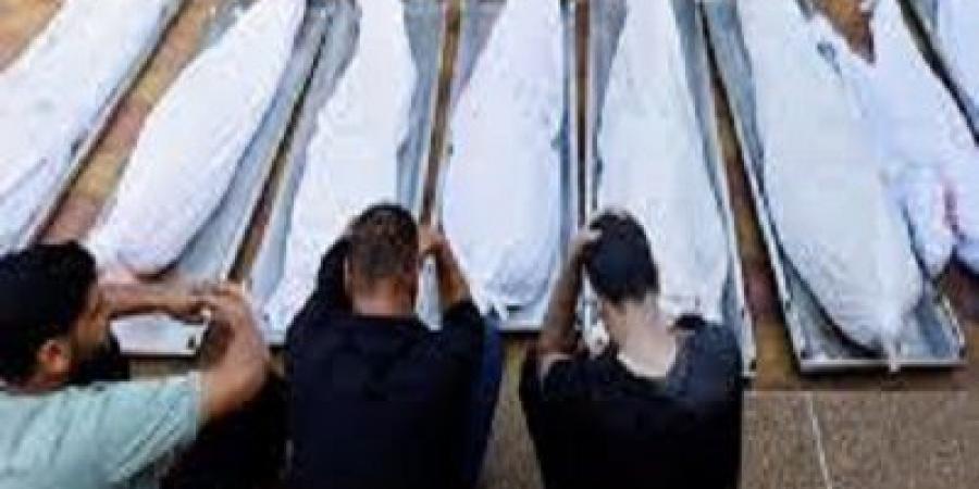 إسرائيل تقتل 44 فلسطينيا في غزة خلال محاولتهم الحصول على طعام - هرم مصر