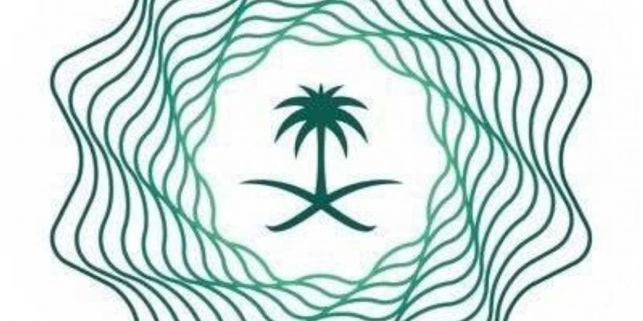 المالية تشارك في اجتماعات مكافحة الفساد في فيينا - هرم مصر