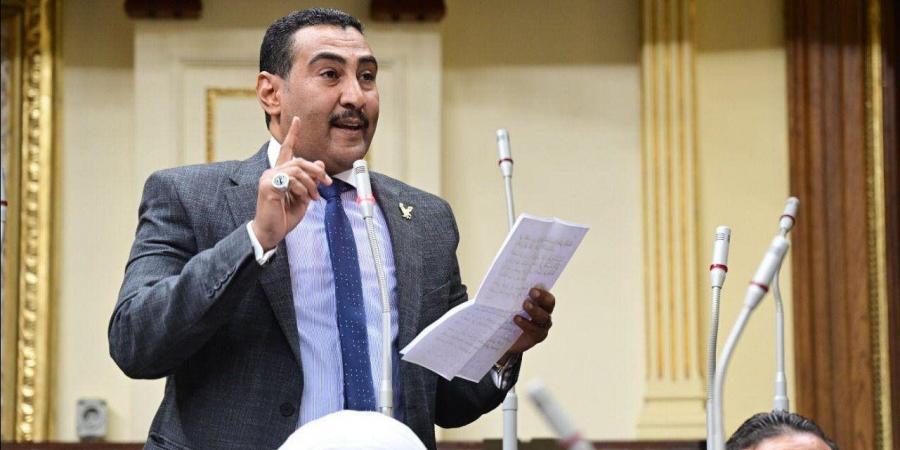 برلماني: قوة وحكمة السيسي أنقذت الوطن في 30 يونيو - هرم مصر