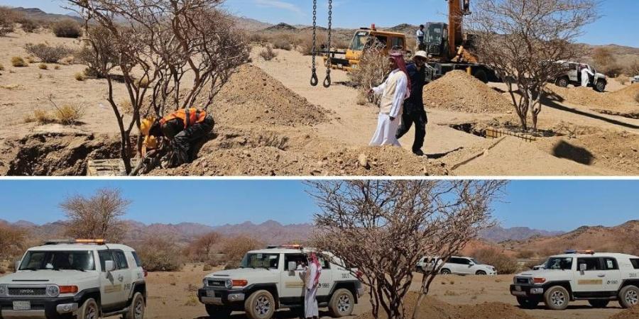 الغطاء النباتي ينقل 5 أشجار معمرة من نوعي السمر والسيال - هرم مصر