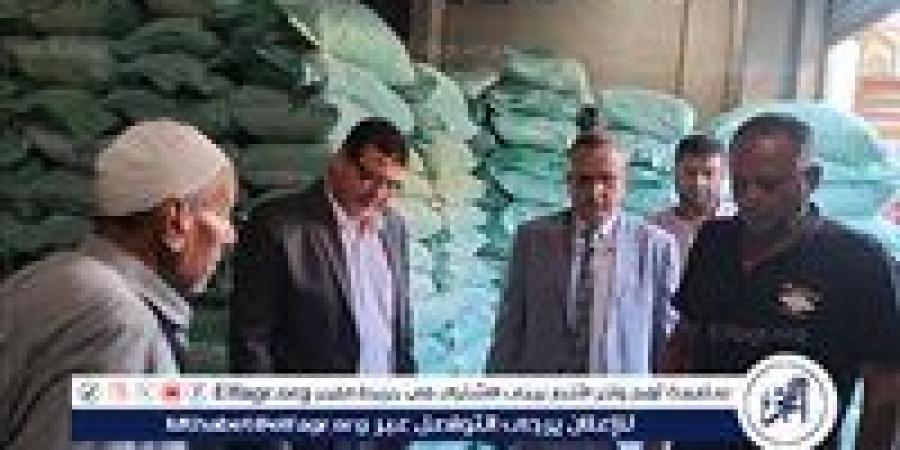 محافظ الدقهلية: 39 محضرا وضبط 213 شيكارة دقيق مدعم في يوم واحد - هرم مصر