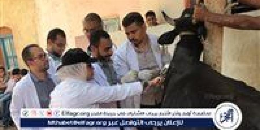 بيطرى سوهاج: تطلق قافلة طبية بيطرية بقرية تونس مبادرة "حياة كريمة " - هرم مصر