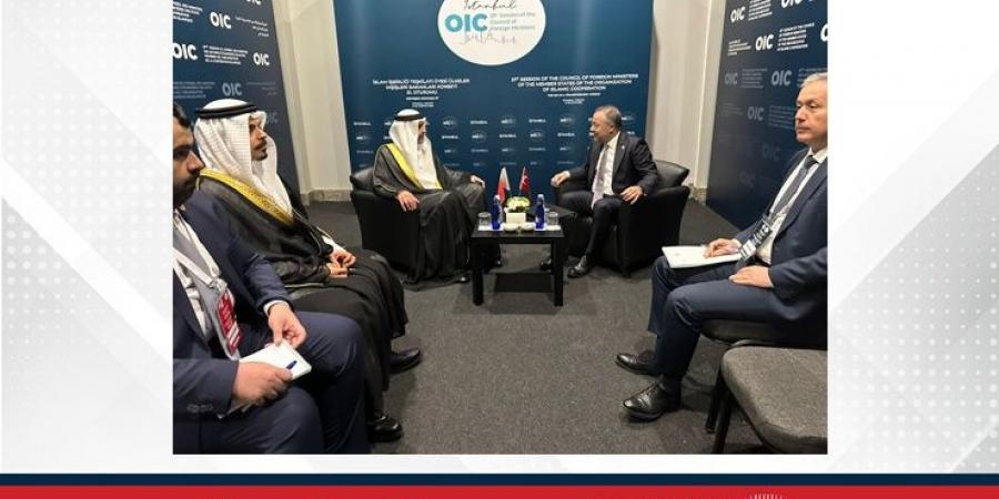 وكيل وزارة الخارجية للشؤون السياسية يجتمع مع نائب وزير خارجية الجمهورية التركية - هرم مصر