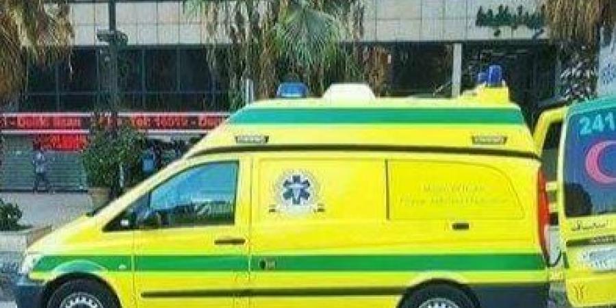 مصرع شخصين وإصابة 7 آخرين في سقوط شجرة على ميكروباص بالقاهرة - هرم مصر