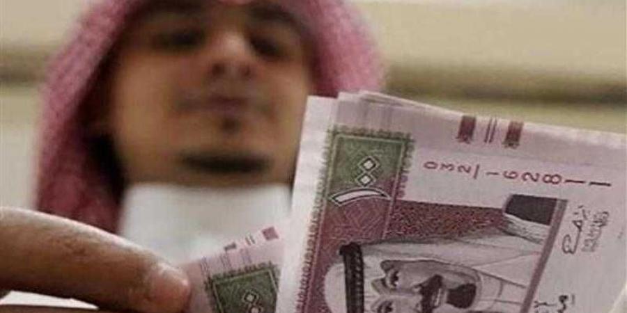 أسعار الريال السعودي في مصر اليوم الأحد - هرم مصر