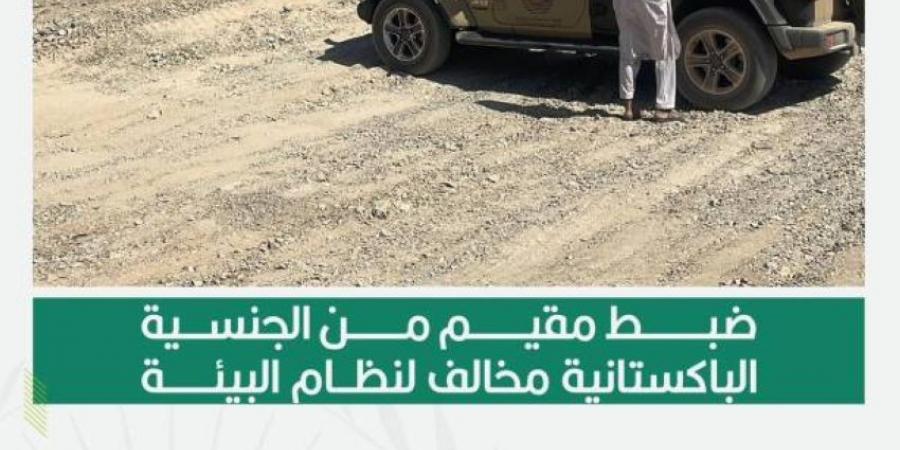 القوات الخاصة للأمن البيئي تضبط مقيمًا مخالفًا لنظام البيئة لاستغلاله الرواسب بالمدينة المنورة - هرم مصر