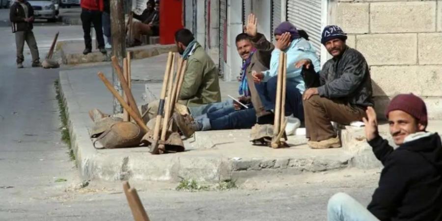 ضوابط قانونية حاكمة لأجور العمالة المؤقتة.. والتعاقد شرط أساسي وفقا للقانون - هرم مصر