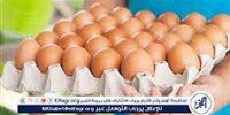 أسعار طبق البيض اليوم الاثنين 23-6-2025 في قنا - هرم مصر