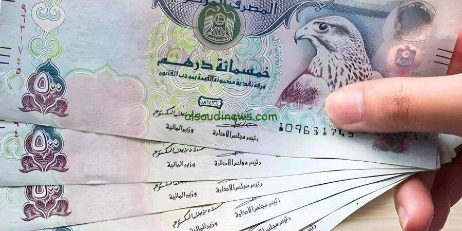 ارتفاع مفاجئ لسعر الدرهم الإماراتي مقابل الجنيه المصري اليوم الاثنين - هرم مصر