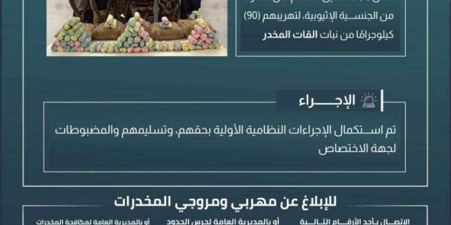حرس الحدود بعسير يقبض على 6 مخالفين لنظام أمن الحدود لتهريبهم 90 كيلوجرامًا من نبات القات المخدر - هرم مصر