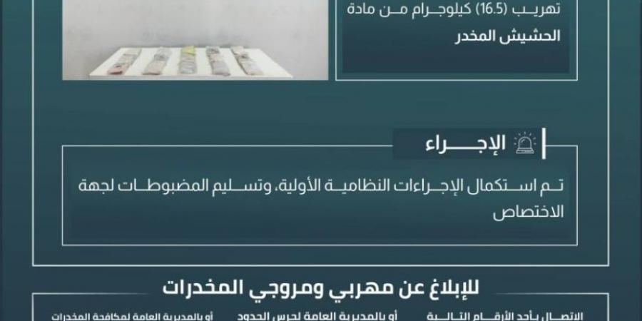 حرس الحدود بجازان يحبط تهريب 16.5 كيلوجرامًا من مادة الحشيش المخدر - هرم مصر