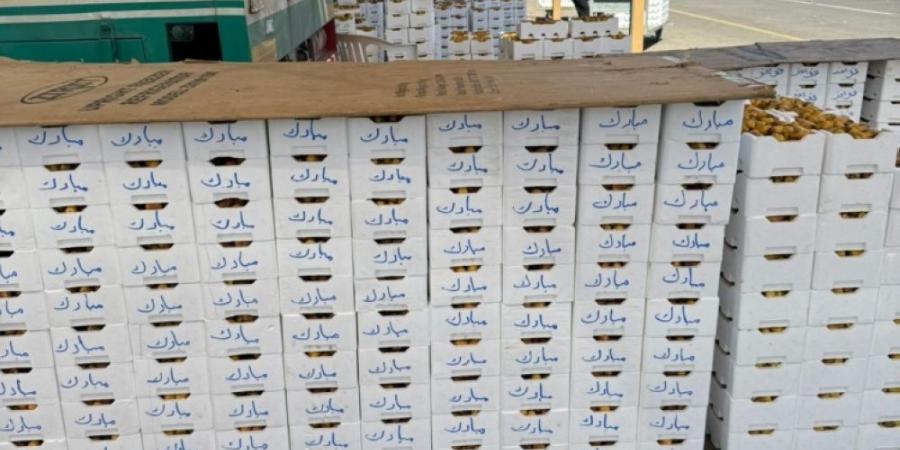 7 أسواق محلية تقبل على رطب المدينة - هرم مصر