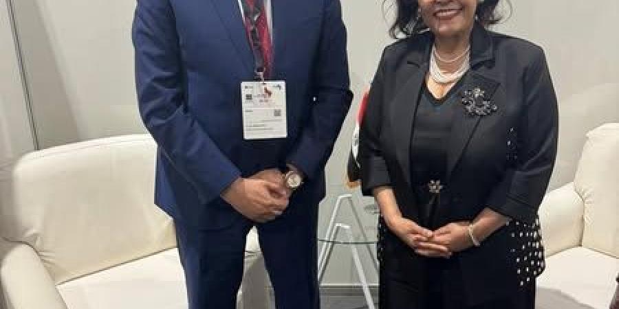 شيمي: نسعى لتعزيز التكامل الإفريقي والانفتاح على الأسواق الإقليمية - هرم مصر