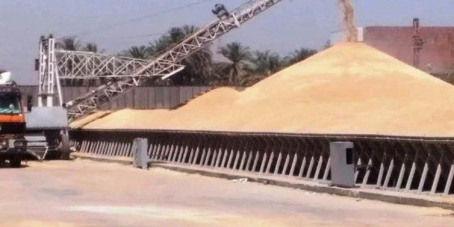 أخبار أسوان: ندوات لترشيد الكهرباء.. ومتابعة لتوريد القمح وإزالة التعديات - هرم مصر