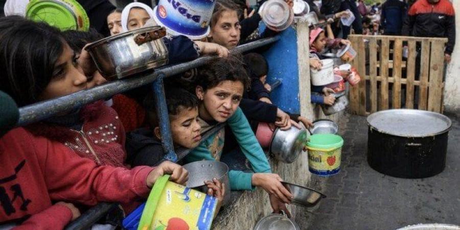 القاهرة الإخبارية: 18741 طفلا في غزة يتلقون العلاج من سوء التغذية - هرم مصر