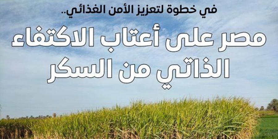الحكومة: مصر لن تكون بحاجة لاستيراد السكر بدءًا من 2026 - هرم مصر