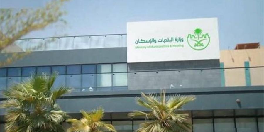 ضوابط لتأجير أرصفة المشاة للمستثمرين - هرم مصر