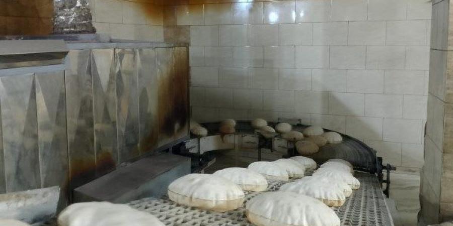 ضبط طن أعلاف مجهول وتحرير 217 محضرا لـ مخابز وأسواق بالمنوفية - هرم مصر