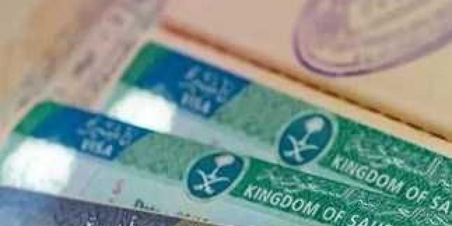 خطوات استخراج تأشيرة الزيادة السعودية العائلية - هرم مصر