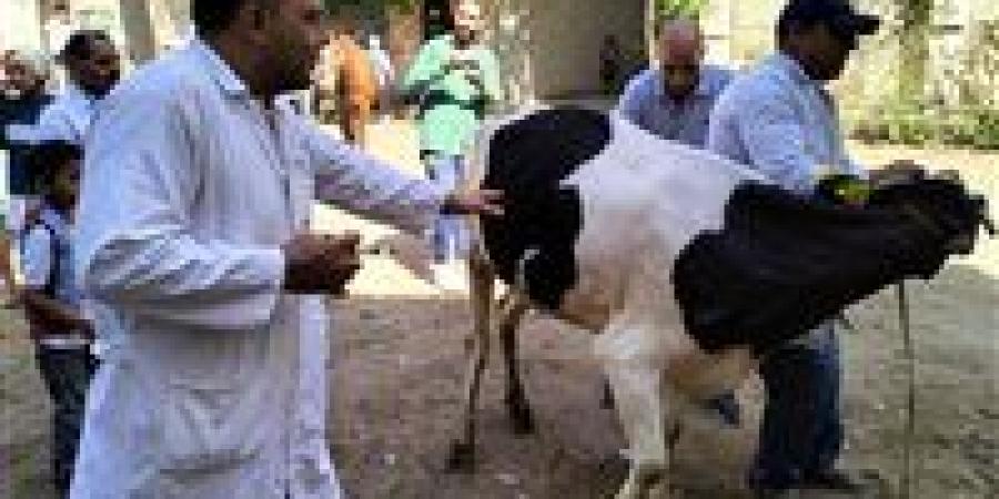 فحص 3180 طائر وحيوان بعزبة نظيف ضمن مبادرة "حياة كريمة" بالغربية - هرم مصر