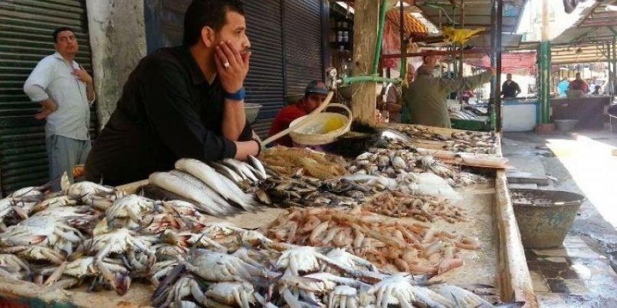 سعر الأسماك والمأكولات البحرية اليوم 27-6-2025 - هرم مصر
