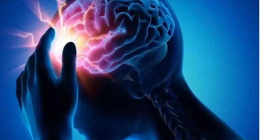 الدهون والسكريات تعطل وظائف المخ!! - هرم مصر