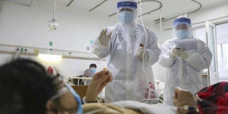 براءة المختبر الصيني من كوفيد -19.. «الصحة العالمية» تكشف كيفية ظهور كورونا - هرم مصر