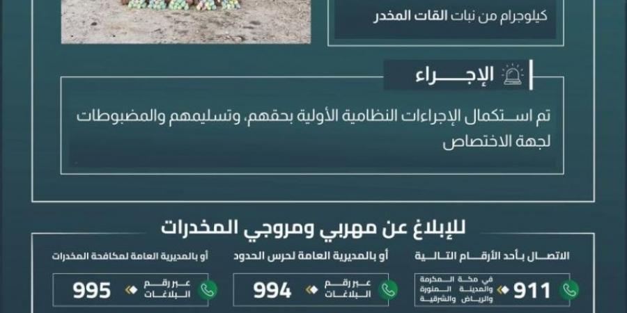 حرس الحدود بعسير يقبض على (10) مخالفين لتهريبهم (200) كيلوجرام من القات المخدر - هرم مصر
