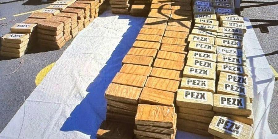 ضبط شحنة مخدرات كبرى بقيمة 100 مليون جنيه إسترليني في بريطانيا - هرم مصر