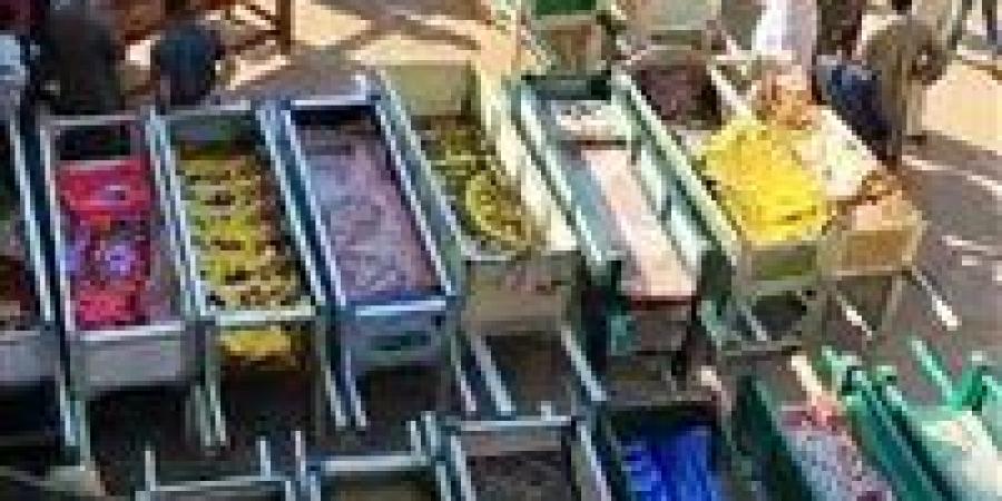 100 ألف جنيه لكل وفاة.. طرق صرف تعويضات ضحايا حادث المنوفية - هرم مصر