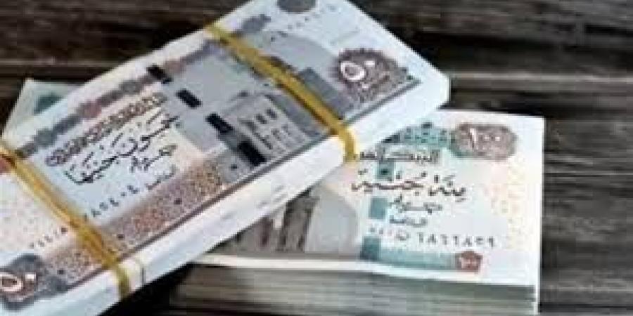 معاش ربات البيوت بدون وظيفة.. خطوات سهلة للإشتراك - هرم مصر
