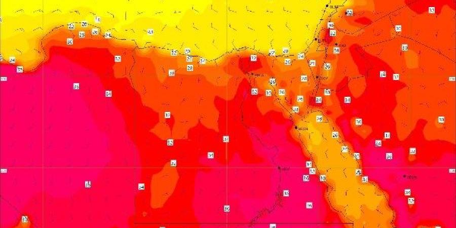 الأرصاد تحذر: شبورة مائية كثيفة صباحًا ورياح نشطة على غرب البلاد - هرم مصر