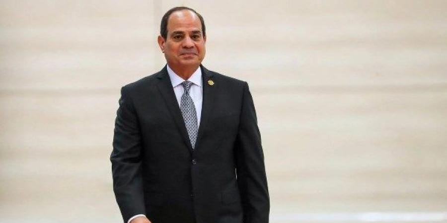 30 يونيو.. 12 عامًا من السياسة الخارجية المتوازنة والاستقلالية في الجمهورية الجديدة - هرم مصر