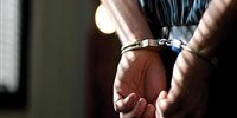 عاتبته على مطاردة الكلاب.. القبض على عامل اعتدى على سيدة في الشيخ زايد - هرم مصر