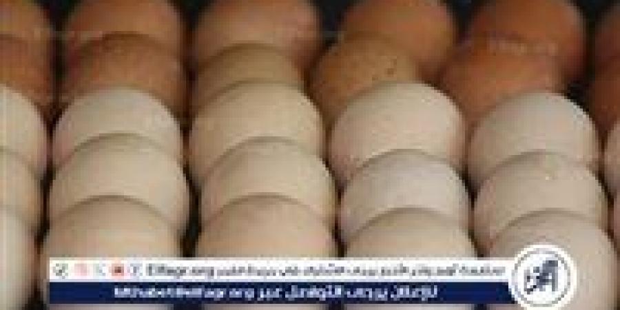 أسعار طبق البيض اليوم الاحد 29-6-2025 في قنا - هرم مصر