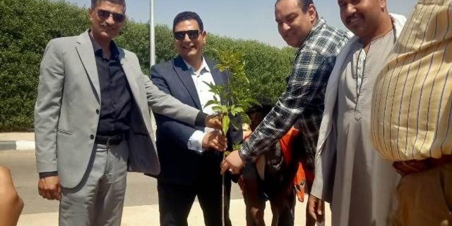 رئيس جهاز الشروق يعلن عن أهم المبادرات الزراعية فى المدينة.. صور - هرم مصر