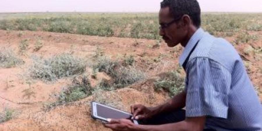 الفاو تطلق حملة لتوزيع البذور الطارئة لـ7.5 مليون شخص فى السودان - هرم مصر