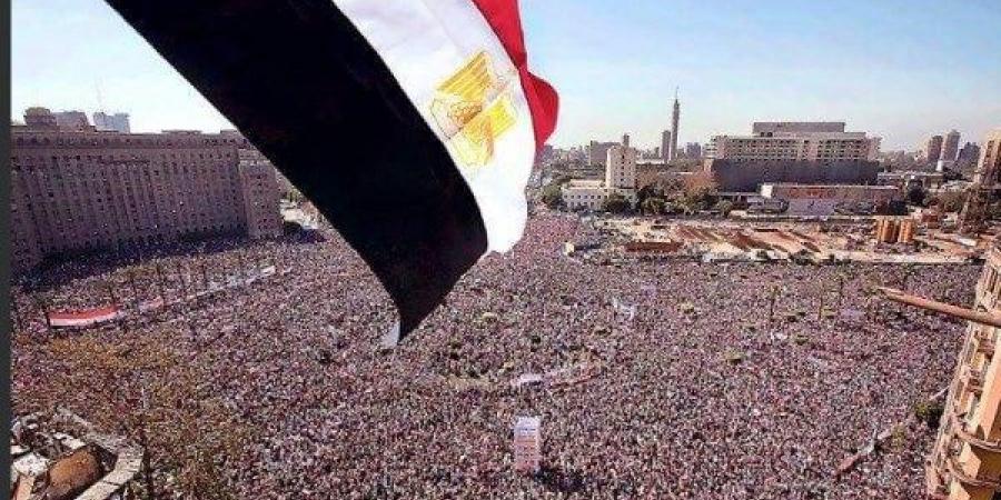 برلماني : ثورة 30 يونيو براند عالمى يدرس في كيفية إنقاذ الأوطان - هرم مصر