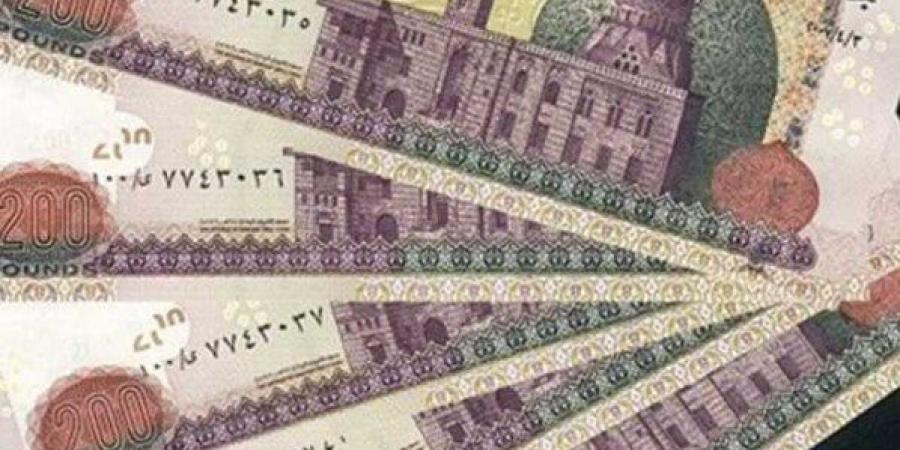 زيادة جديدة في الأجور بدءا من يوليو 2025.. والحد الأدنى 7000 جنيه شهريا - هرم مصر
